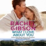 What I Love About You by Rachel Gibson