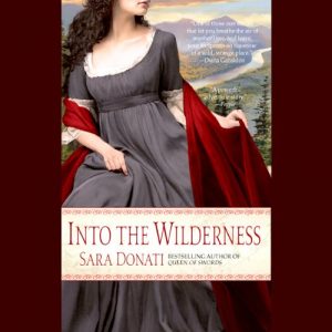 Into the Wilderness by Sara Donati 