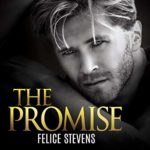 The Promise by Felice Stevens