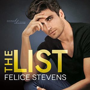 The List by Felice Stevens