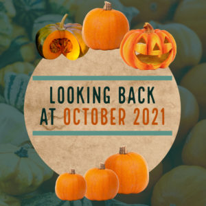 Graphic of pumpkins with text Looking Back at October 2021