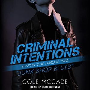 Junk Shop Blues by Cole McCade – AudioGals