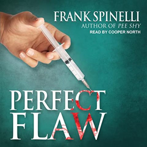 Perfect Flaw by Frank Spinelli