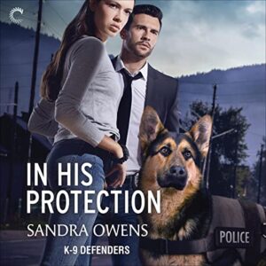 In His Protection by Sandra Owens