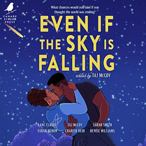 Even if the Sky is Falling by Various Authors